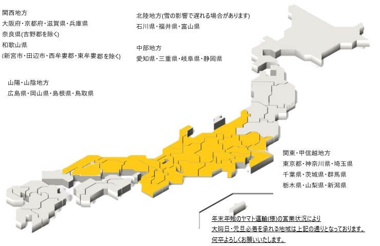 生菓子 新春菓22 配送地域限定
